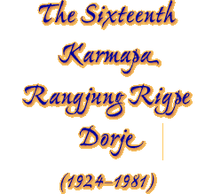 KTD--The Sixteenth Karmapa, Rangjung Rigpe Dorje--